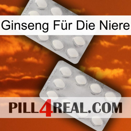 Ginseng Für Die Niere 17